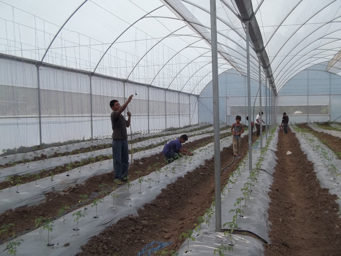 Mexico rural greenhouse UNREASONABLE.is