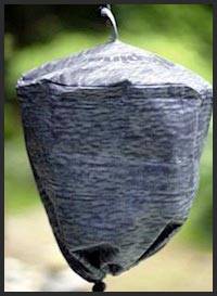 Photo: Waspinator