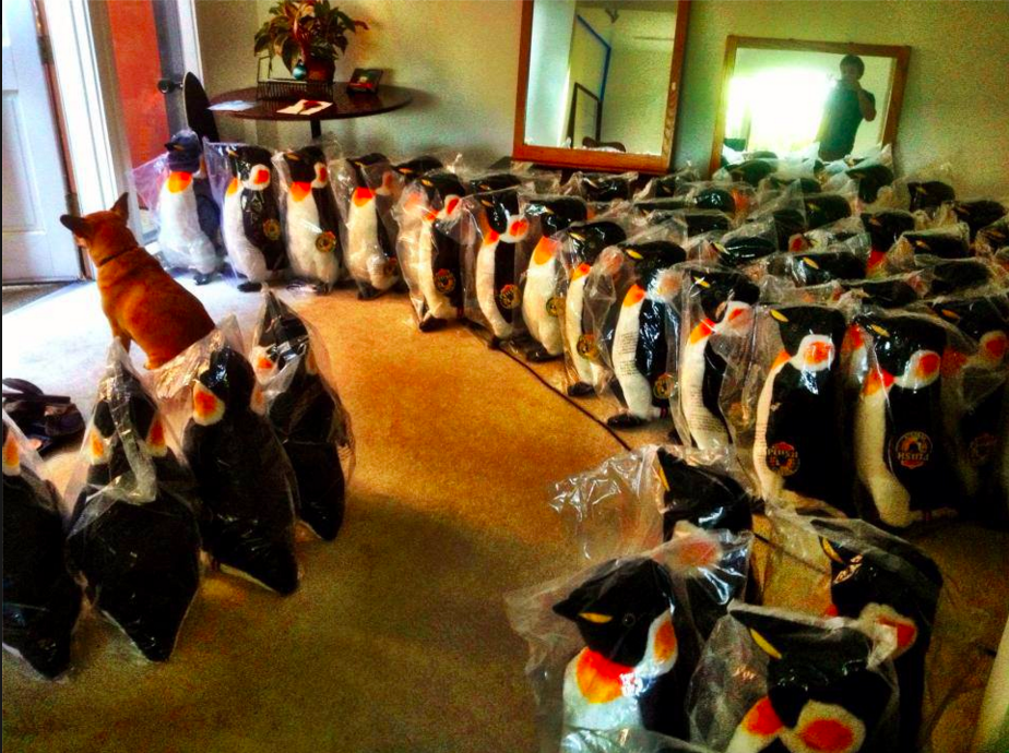 An army of penguins ready to be mailed to Girl Effect Accelerator supporters
