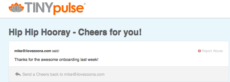 An example of a submission from Zoona's TinyPulse tool.