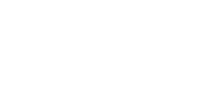 Fossil Foundation