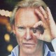 Photo of Angus Thirlwell