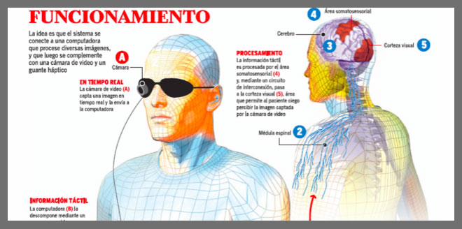 Artificial Vision for the Blind